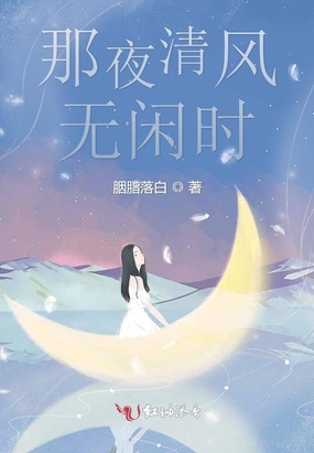 那夜清风无闲时